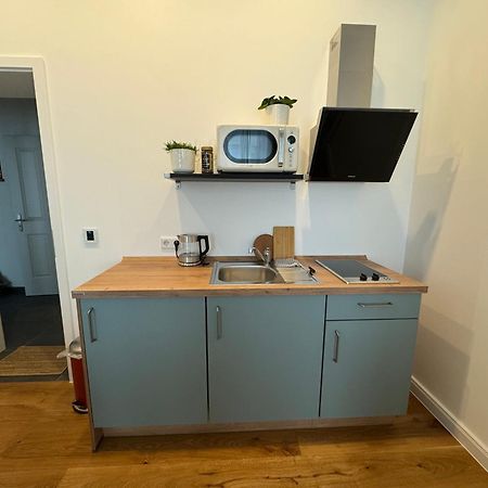 Boutique Hotel Pension Luisengruen Kueche 1Gbs Wlan Netflix Disney Magentatv Chemnitz Eksteriør billede