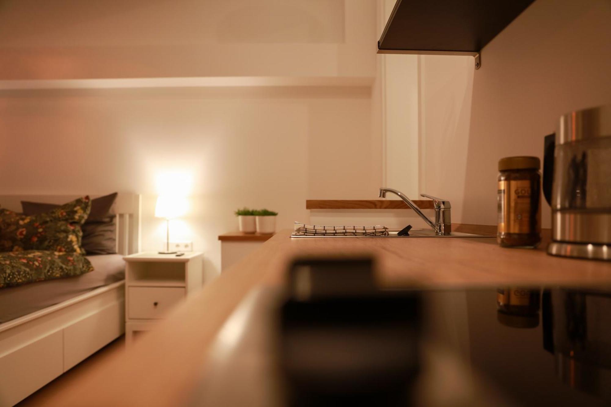 Boutique Hotel Pension Luisengruen Kueche 1Gbs Wlan Netflix Disney Magentatv Chemnitz Eksteriør billede